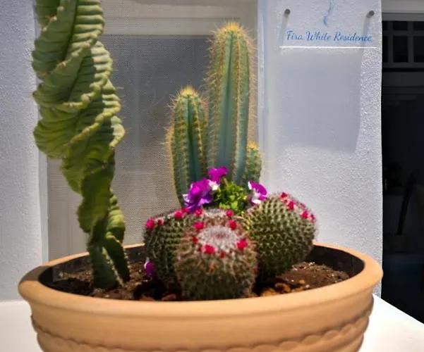 Villa White Fira (Santorini)